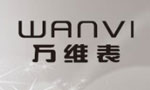 万维表(wanvi)