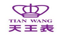 天王电子(深圳)有限公司 天王电子(深圳)有限公司